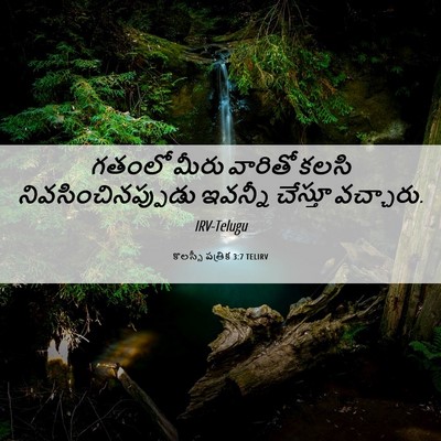 Picture 06 - కొలస్సీ పత్రిక 3:7 TELIRV - గతంలో మీరు వారితో - Bible Verse Picture