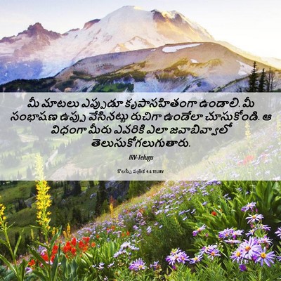 Picture 06 - కొలస్సీ పత్రిక 4:6 TELIRV - మీ మాటలు ఎప్పుడూ - Bible Verse Picture