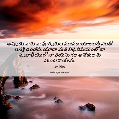 Picture 06 - గలతీ పత్రిక 1:14 TELIRV - అప్పుడు నాకు నా - Bible Verse Picture