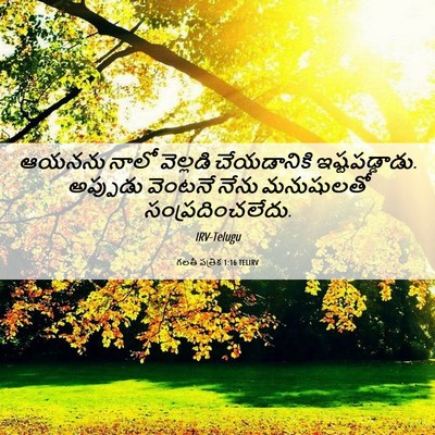 Picture 06 - గలతీ పత్రిక 1:16 TELIRV - ఆయనను నాలో - Bible Verse Picture