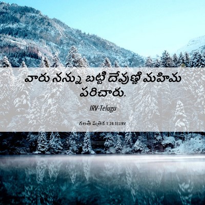 Picture 06 - గలతీ పత్రిక 1:24 TELIRV - వారు నన్ను బట్టి - Bible Verse Picture