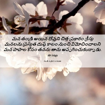 Picture 06 - గలతీ పత్రిక 1:4 TELIRV - మన తండ్రి అయిన - Bible Verse Picture