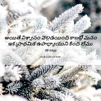 Picture 06 - గలతీ పత్రిక 3:25 TELIRV - అయితే విశ్వాసం - Bible Verse Picture