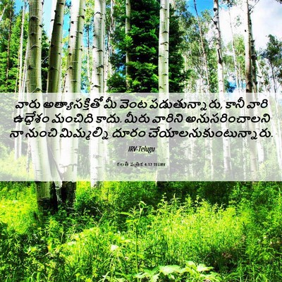 Picture 06 - గలతీ పత్రిక 4:17 TELIRV - వారు అత్యాసక్తితో - Bible Verse Picture