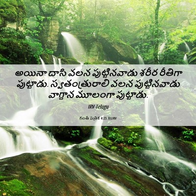 Picture 06 - గలతీ పత్రిక 4:23 TELIRV - అయినా దాసి వలన - Bible Verse Picture