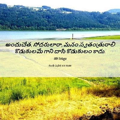 Picture 06 - గలతీ పత్రిక 4:31 TELIRV - అందుచేత, - Bible Verse Picture