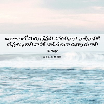 Picture 06 - గలతీ పత్రిక 4:8 TELIRV - ఆ కాలంలో మీరు - Bible Verse Picture