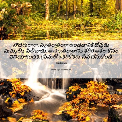 Picture 06 - గలతీ పత్రిక 5:13 TELIRV - సోదరులారా, - Bible Verse Picture