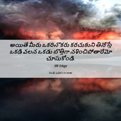 Picture 06 - గలతీ పత్రిక 5:15 TELIRV - అయితే మీరు - Bible Verse Picture