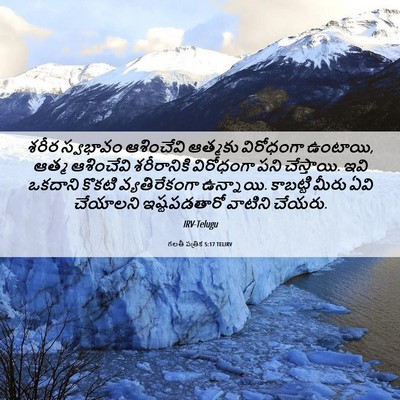 Picture 06 - గలతీ పత్రిక 5:17 TELIRV - శరీర స్వభావం - Bible Verse Picture