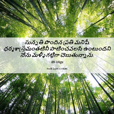 Picture 06 - గలతీ పత్రిక 5:3 TELIRV - సున్నతి పొందిన - Bible Verse Picture