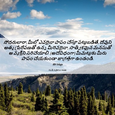 Picture 06 - గలతీ పత్రిక 6:1 TELIRV - సోదరులారా, మీలో - Bible Verse Picture