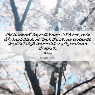 Picture 06 - గలతీ పత్రిక 6:12 TELIRV - శరీర విషయంలో - Bible Verse Picture