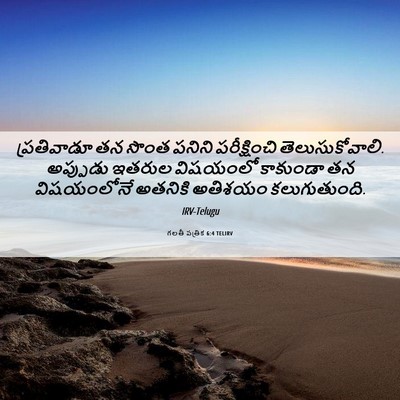 Picture 06 - గలతీ పత్రిక 6:4 TELIRV - ప్రతివాడూ తన సొంత - Bible Verse Picture