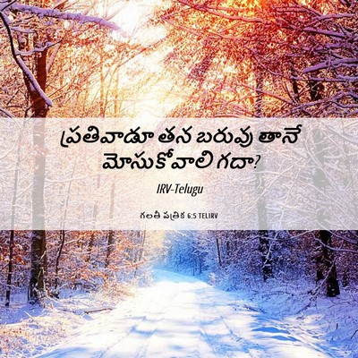 Picture 06 - గలతీ పత్రిక 6:5 TELIRV - ప్రతివాడూ తన - Bible Verse Picture
