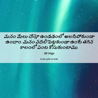 Picture 06 - గలతీ పత్రిక 6:9 TELIRV - మనం మేలు చేస్తూ - Bible Verse Picture