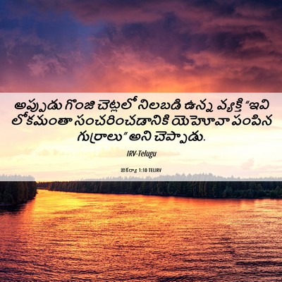 Picture 06 - జెకర్యా 1:10 TELIRV - అప్పుడు గొంజి - Bible Verse Picture