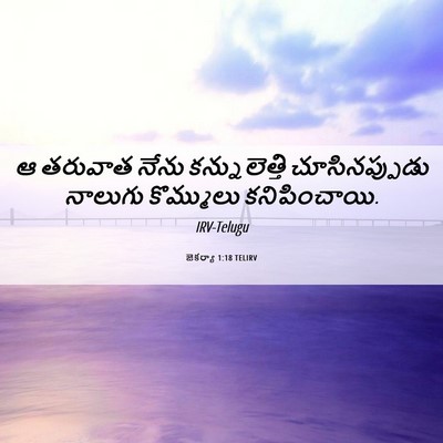 Picture 06 - జెకర్యా 1:18 TELIRV - ఆ తరువాత నేను - Bible Verse Picture