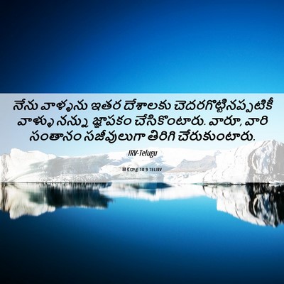 Picture 06 - జెకర్యా 10:9 TELIRV - నేను వాళ్ళను ఇతర - Bible Verse Picture