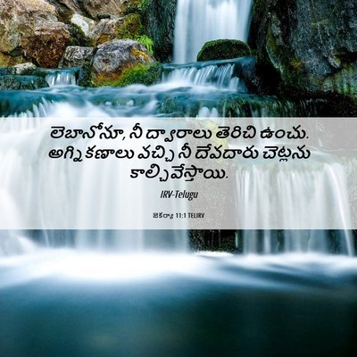 Picture 06 - జెకర్యా 11:1 TELIRV - లెబానోనూ, నీ - Bible Verse Picture