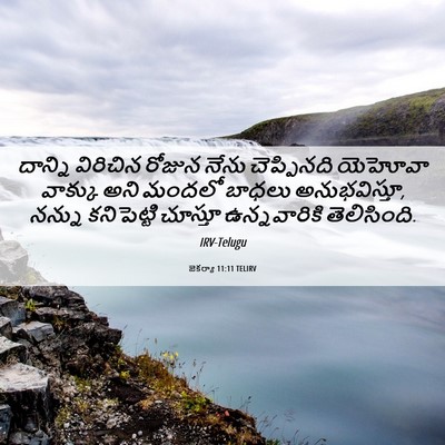 Picture 06 - జెకర్యా 11:11 TELIRV - దాన్ని విరిచిన - Bible Verse Picture