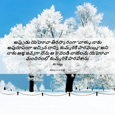 Picture 06 - జెకర్యా 11:13 TELIRV - అప్పుడు యెహోవా - Bible Verse Picture