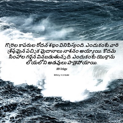 Picture 06 - జెకర్యా 11:3 TELIRV - గొర్రెల కాపరుల - Bible Verse Picture