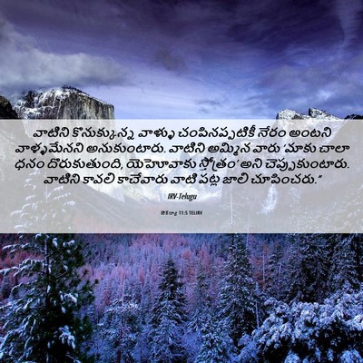 Picture 06 - జెకర్యా 11:5 TELIRV - వాటిని - Bible Verse Picture