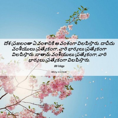 Picture 06 - జెకర్యా 12:12 TELIRV - దేశ ప్రజలంతా ఏ - Bible Verse Picture