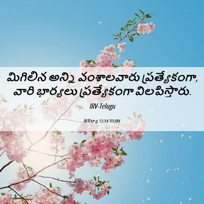 Picture 06 - జెకర్యా 12:14 TELIRV - మిగిలిన అన్ని - Bible Verse Picture