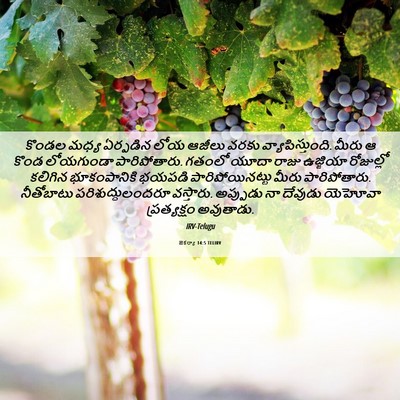 Picture 06 - జెకర్యా 14:5 TELIRV - కొండల మధ్య - Bible Verse Picture