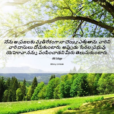 Picture 06 - జెకర్యా 2:9 TELIRV - నేను ఆ ప్రజలకు - Bible Verse Picture