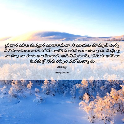 Picture 06 - జెకర్యా 3:8 TELIRV - ప్రధాన యాజకుడవైన - Bible Verse Picture