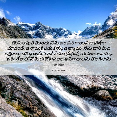 Picture 06 - జెకర్యా 3:9 TELIRV - యెహోషువ ముందు - Bible Verse Picture