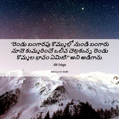 Picture 06 - జెకర్యా 4:12 TELIRV - “రెండు బంగారపు - Bible Verse Picture