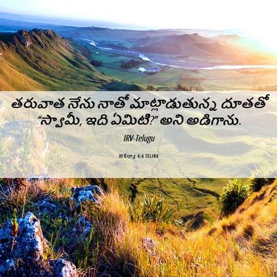 Picture 06 - జెకర్యా 4:4 TELIRV - తరువాత నేను నాతో - Bible Verse Picture