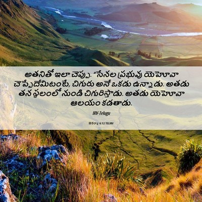Picture 06 - జెకర్యా 6:12 TELIRV - అతనితో ఇలా చెప్పు. - Bible Verse Picture