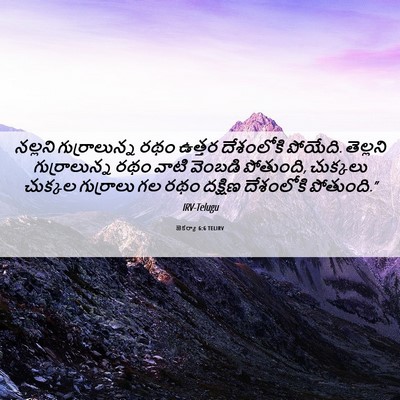 Picture 06 - జెకర్యా 6:6 TELIRV - నల్లని - Bible Verse Picture
