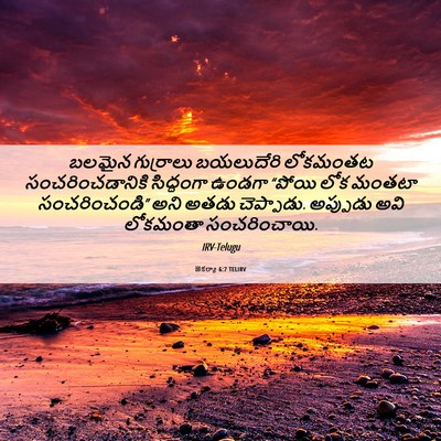 Picture 06 - జెకర్యా 6:7 TELIRV - బలమైన గుర్రాలు - Bible Verse Picture