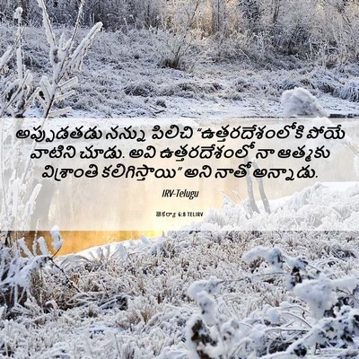 Picture 06 - జెకర్యా 6:8 TELIRV - అప్పుడతడు నన్ను - Bible Verse Picture
