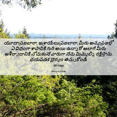 Picture 06 - జెకర్యా 8:13 TELIRV - యూదాప్రజలారా, - Bible Verse Picture
