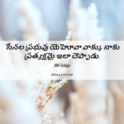 Picture 06 - జెకర్యా 8:18 TELIRV - సేనల ప్రభువు - Bible Verse Picture