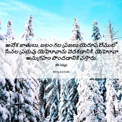 Picture 06 - జెకర్యా 8:22 TELIRV - అనేక జాతులు, బలం గల - Bible Verse Picture