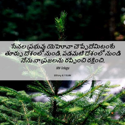 Picture 06 - జెకర్యా 8:7 TELIRV - సేనల ప్రభువు - Bible Verse Picture