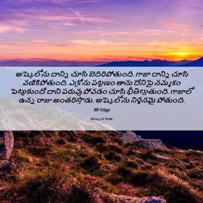 Picture 06 - జెకర్యా 9:5 TELIRV - అష్కెలోను దాన్ని - Bible Verse Picture