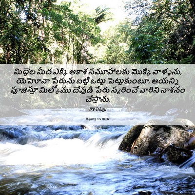 Picture 06 - జెఫన్యా 1:5 TELIRV - మిద్దెల మీద ఎక్కి - Bible Verse Picture