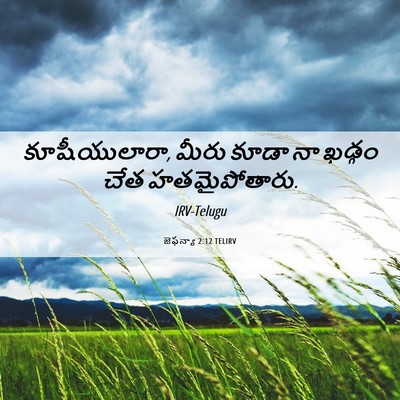 Picture 06 - జెఫన్యా 2:12 TELIRV - కూషీయులారా, మీరు - Bible Verse Picture