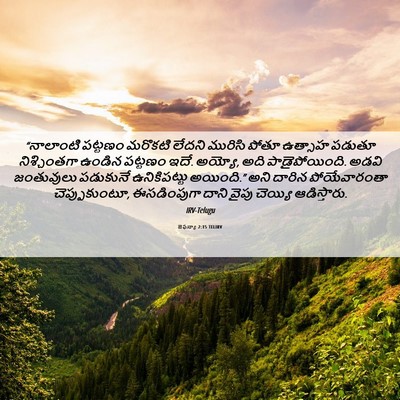 Picture 06 - జెఫన్యా 2:15 TELIRV - “నాలాంటి పట్టణం - Bible Verse Picture