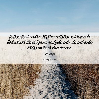 Picture 06 - జెఫన్యా 2:6 TELIRV - సముద్రప్రాంతం - Bible Verse Picture