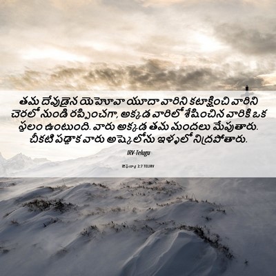Picture 06 - జెఫన్యా 2:7 TELIRV - తమ దేవుడైన యెహోవా - Bible Verse Picture